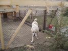Файл=P1010453.JPG
Объём=130KB
Размеры=640x480
Дата=Апр 23, 2008 P1010453.JPG