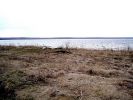 P1010550.JPG