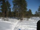 Файл=p_066.jpg
Объём=161KB
Размеры=800x600
Дата=Апр 01, 2009 p_066.jpg