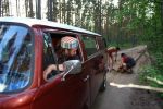 Файл=DSC02123_новый_размер.JPG
Объём=215KB
Размеры=800x533
Дата=Июль 11, 2009 DSC02123_новый_размер.JPG