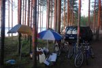 Файл=DSC02641_измен_размер.JPG
Объём=235KB
Размеры=800x533
Дата=Авг 12, 2009 DSC02641_измен_размер.JPG