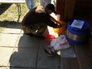 Файл=P5011083.JPG
Объём=57KB
Размеры=615x461
Дата=Май 05, 2009 P5011083.JPG
