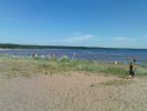 Файл=DSC06175.JPG
Объём=86KB
Размеры=640x480
Дата=Июль 11, 2010 DSC06175.JPG