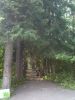 Файл=DSC06675.JPG
Объём=120KB
Размеры=480x640
Дата=Авг 09, 2010 DSC06675.JPG
