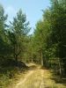 Файл=DSC06708.JPG
Объём=162KB
Размеры=480x640
Дата=Авг 09, 2010 DSC06708.JPG