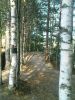 Файл=DSC06744.JPG
Объём=176KB
Размеры=480x640
Дата=Авг 09, 2010 DSC06744.JPG