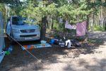 Файл=IMG_0804.jpg
Объём=269KB
Размеры=800x533
Дата=Июль 16, 2010 IMG_0804.jpg
