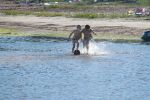 Файл=IMG_1024.jpg
Объём=220KB
Размеры=800x533
Дата=Июль 16, 2010 IMG_1024.jpg