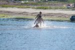 Файл=IMG_1025.jpg
Объём=218KB
Размеры=800x533
Дата=Июль 16, 2010 IMG_1025.jpg