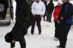 Файл=IMG_4595.jpg
Объём=208KB
Размеры=1200x800
Дата=Фев 15, 2010 IMG_4595.jpg