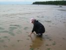 Файл=DSCN1652.jpg
Объём=111KB
Размеры=800x600
Дата=Июль 11, 2009 DSCN1652.jpg
