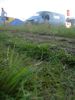 Файл=DSC07061.jpg
Объём=102KB
Размеры=576x768
Дата=Июнь 15, 2009 DSC07061.jpg