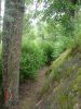 Файл=DSC07849.jpg
Объём=230KB
Размеры=600x800
Дата=Июль 06, 2009 DSC07849.jpg