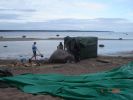 Файл=DSC07984.jpg
Объём=107KB
Размеры=800x600
Дата=Июль 06, 2009 DSC07984.jpg