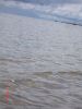 Файл=DSC08062.jpg
Объём=114KB
Размеры=600x800
Дата=Июль 06, 2009 DSC08062.jpg