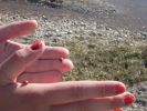 Файл=SDC13818.JPG
Объём=193KB
Размеры=800x600
Дата=Июнь 07, 2010 SDC13818.JPG