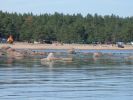 Файл=SDC14256.JPG
Объём=241KB
Размеры=800x600
Дата=Июль 16, 2010 SDC14256.JPG