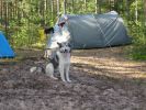Файл=IMG_0069.jpg
Объём=235KB
Размеры=640x480
Дата=Июль 05, 2009 IMG_0069.jpg