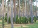 Файл=P1000137.JPG
Объём=333KB
Размеры=1024x768
Дата=Окт 26, 2010 P1000137.JPG