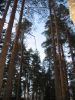 Файл=010509_426.jpg
Объём=96KB
Размеры=450x600
Дата=Май 04, 2009 010509_426.jpg