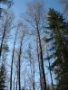 Файл=010509_487.jpg
Объём=103KB
Размеры=450x600
Дата=Май 04, 2009 010509_487.jpg