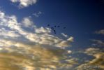 Файл=DSC_0128.JPG
Объём=126KB
Размеры=640x429
Дата=Фев 10, 2011 DSC_0128.JPG