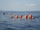 Файл=DSC06278.JPG
Объём=230KB
Размеры=1024x768
Дата=Авг 14, 2010 DSC06278.JPG