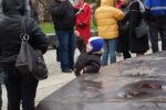 DSC_0316~0.JPG
