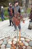 Файл=DSC_0324.JPG
Объём=229KB
Размеры=426x640
Дата=Нояб 07, 2010 DSC_0324.JPG