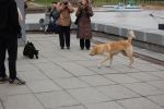Файл=DSC_0349~0.JPG
Объём=211KB
Размеры=640x426
Дата=Нояб 07, 2010 DSC_0349~0.JPG