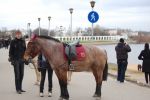 Файл=DSC_0432.JPG
Объём=195KB
Размеры=640x426
Дата=Нояб 09, 2010 DSC_0432.JPG