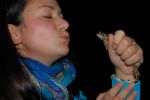 Файл=DSC_0438.JPG
Объём=245KB
Размеры=800x532
Дата=Сент 29, 2010 DSC_0438.JPG
