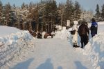 Файл=DSC_0977.JPG
Объём=301KB
Размеры=800x532
Дата=Янв 24, 2011 DSC_0977.JPG