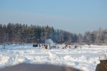 Файл=DSC_0998.JPG
Объём=296KB
Размеры=800x532
Дата=Янв 24, 2011 DSC_0998.JPG
