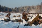 Файл=DSC_1012.JPG
Объём=294KB
Размеры=800x532
Дата=Янв 24, 2011 DSC_1012.JPG