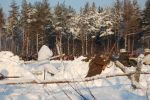 Файл=DSC_1020.JPG
Объём=338KB
Размеры=800x532
Дата=Янв 24, 2011 DSC_1020.JPG