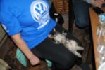 Файл=DSC_0318.JPG
Объём=654KB
Размеры=1936x1296
Дата=Янв 09, 2011 DSC_0318.JPG