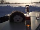 Файл=DSCF0980_thumb.jpg
Объём=43KB
Размеры=800x600
Дата=Янв 24, 2011 DSCF0980_thumb.jpg