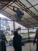 Файл=P5091661.JPG
Объём=334KB
Размеры=1152x1536
Дата=Май 14, 2010 P5091661.JPG