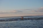 Файл=DSC_0092.JPG
Объём=171KB
Размеры=640x426
Дата=Июль 12, 2010 DSC_0092.JPG