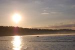 Файл=DSC_0093.JPG
Объём=164KB
Размеры=640x426
Дата=Июль 12, 2010 DSC_0093.JPG