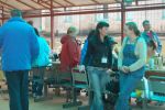 Файл=DSC_0253.jpg
Объём=282KB
Размеры=800x532
Дата=Май 19, 2010 DSC_0253.jpg