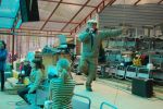 Файл=DSC_0477.jpg
Объём=286KB
Размеры=800x532
Дата=Май 21, 2010 DSC_0477.jpg