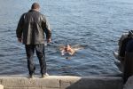 Файл=IMG_3391_новый_размер.JPG
Объём=205KB
Размеры=778x518
Дата=Апр 24, 2011 IMG_3391_новый_размер.JPG