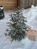 Файл=P1010334.JPG
Объём=381KB
Размеры=768x1024
Дата=Дек 20, 2010 P1010334.JPG