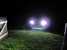 88cc7e34cb065ba0-large.jpg