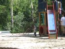 Файл=IMG_3927.JPG
Объём=1442KB
Размеры=2272x1704
Дата=Авг 20, 2008 IMG_3927.JPG