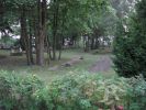 Файл=IMG_3973.JPG
Объём=1513KB
Размеры=2272x1704
Дата=Авг 20, 2008 IMG_3973.JPG